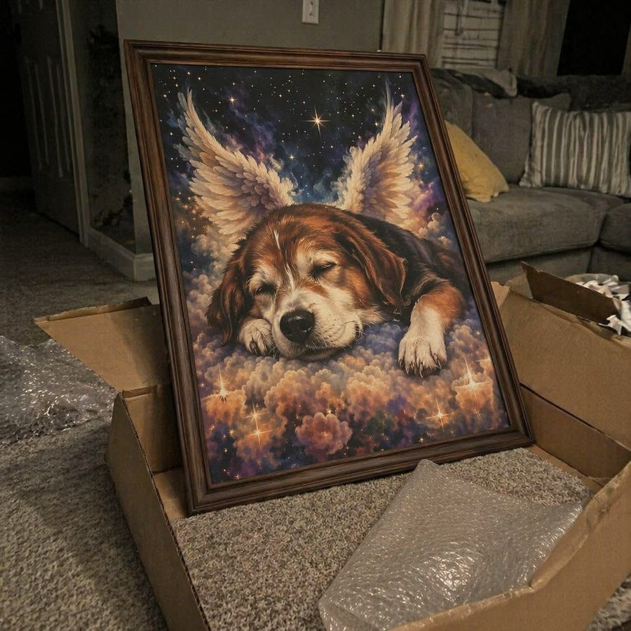 senior brown dog — customer photo